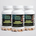 Chaga Mushroom (3 Pack)